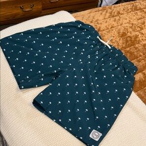 Abercrombie & fitch swim shorts